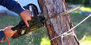 Soil Testing and Treatment in University Park, TX