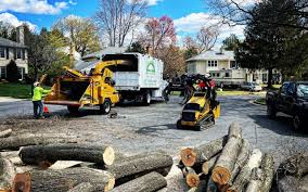 Best Leaf Removal  in University Park, TX