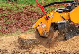 Lawn Maintenance Plans in University Park, TX