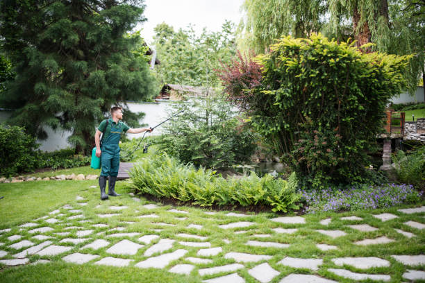 Lawn Irrigation Installation and Maintenance in University Park, TX