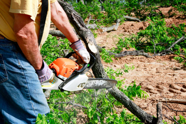 Best Aeration Services  in University Park, TX